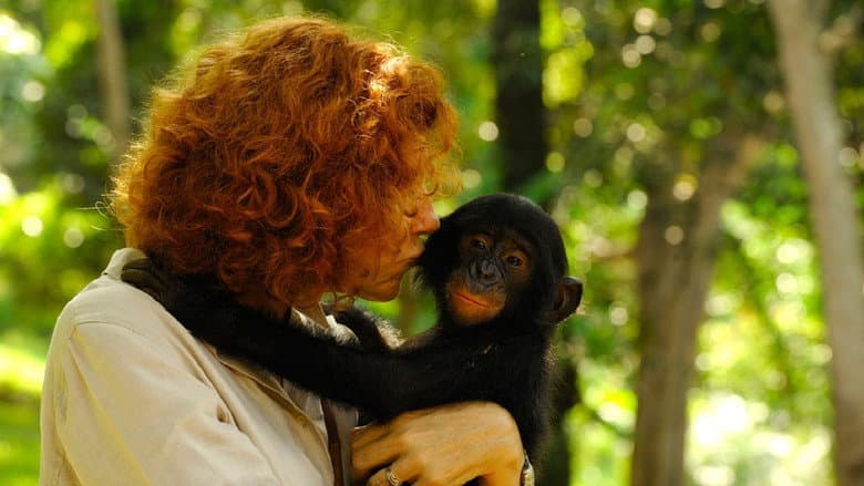 Backdrop from Bonobos: Back to the Wild