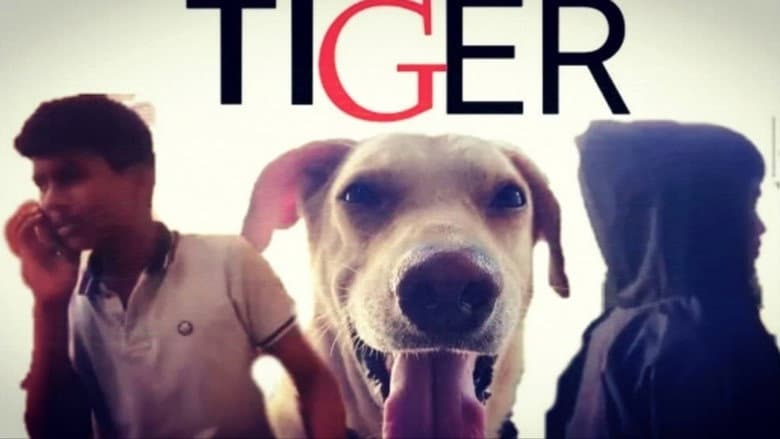 Backdrop from TIGER