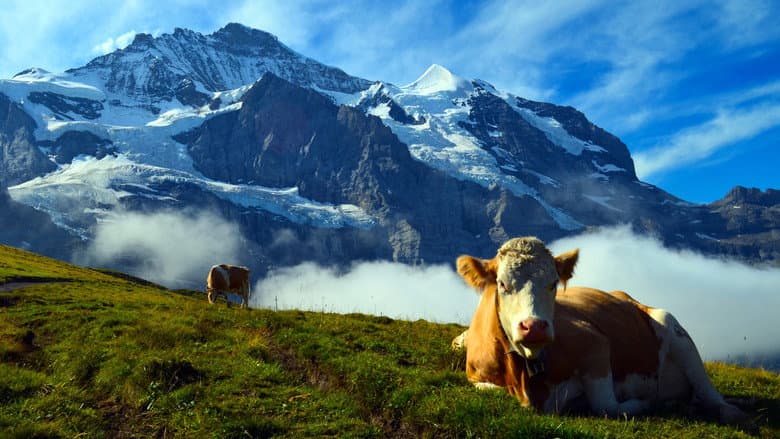 Backdrop from La Suisse sauvage