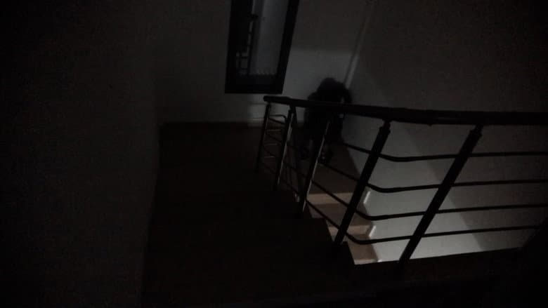 Backdrop from What’s in the Dark?