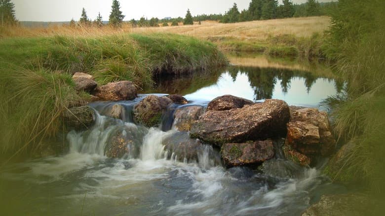 Backdrop from Tajný život skal