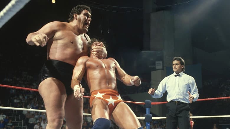 Backdrop from Andre the Giant