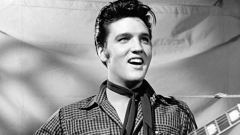 Backdrop from Elvis '56
