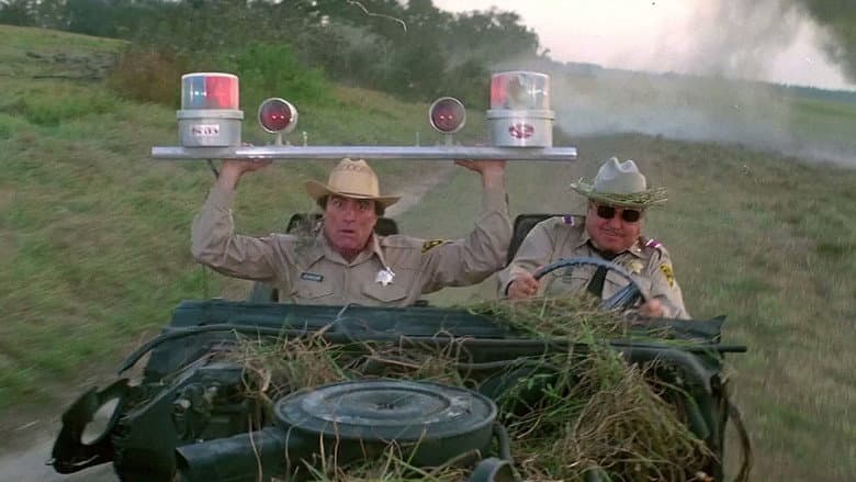 Backdrop from Smokey and the Bandit Part 3