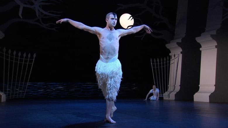 Backdrop from Swan Lake