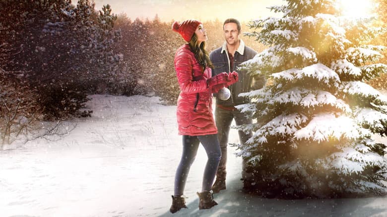 Backdrop from The Christmas Promise