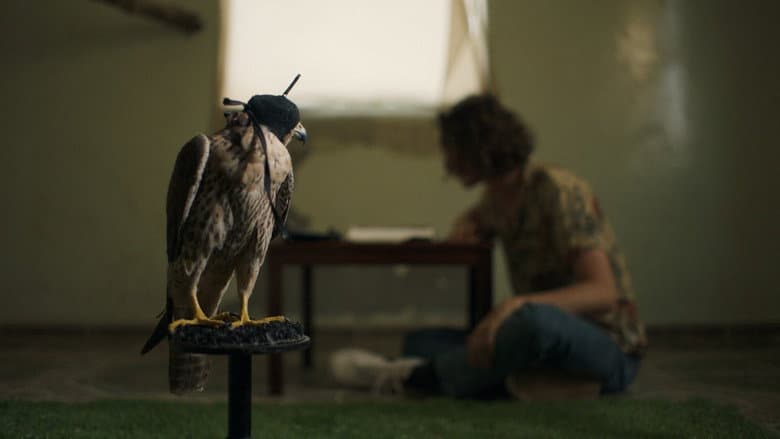 Backdrop from The Falconer