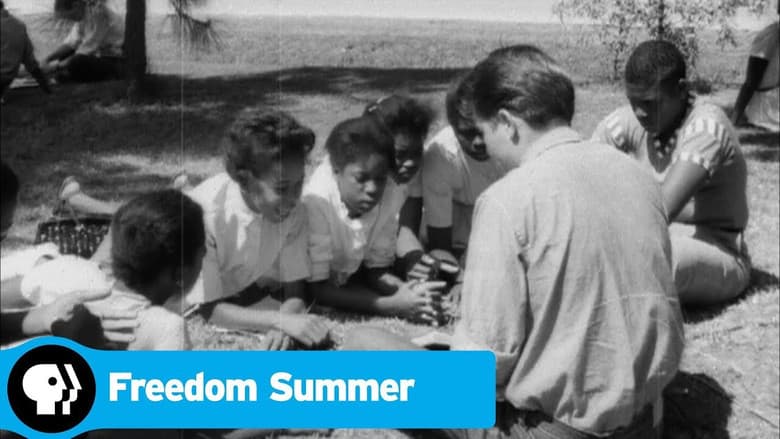 Backdrop from Freedom Summer