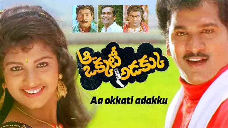 Backdrop from Aa Okkati Adakku