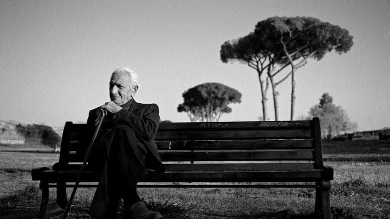 Backdrop from The Treasure of His Youth: The Photographs of Paolo Di Paolo