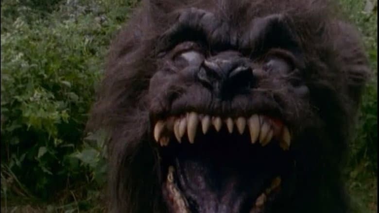Backdrop from Goosebumps: Welcome to Camp Nightmare