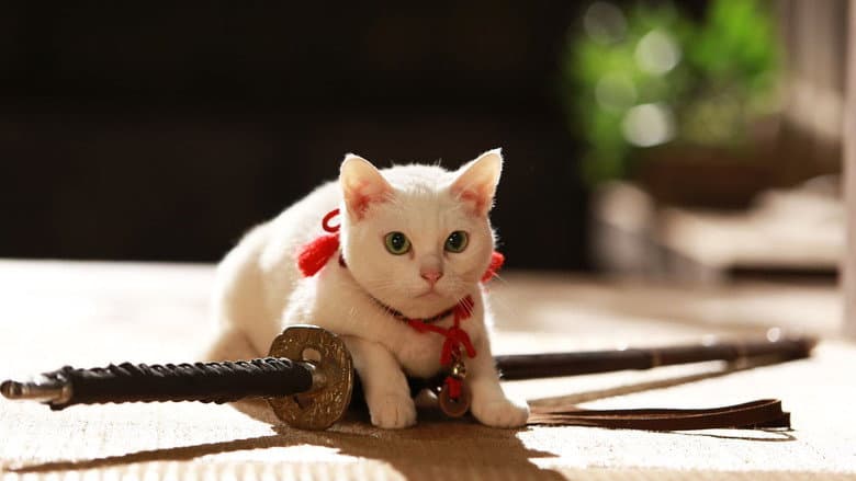 Backdrop from Samurai Cat 2: A Tropical Adventure