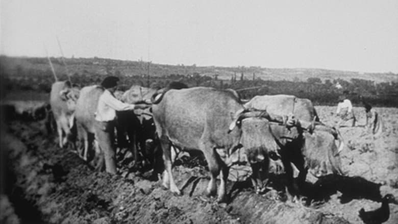 Backdrop from Ploughing