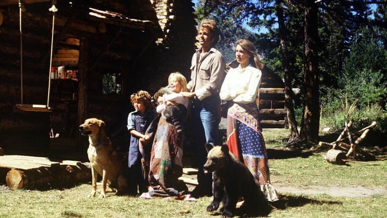 Backdrop from Adventures of the Wilderness Family 3