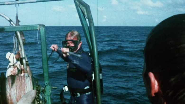 Backdrop from Mako: The Jaws of Death