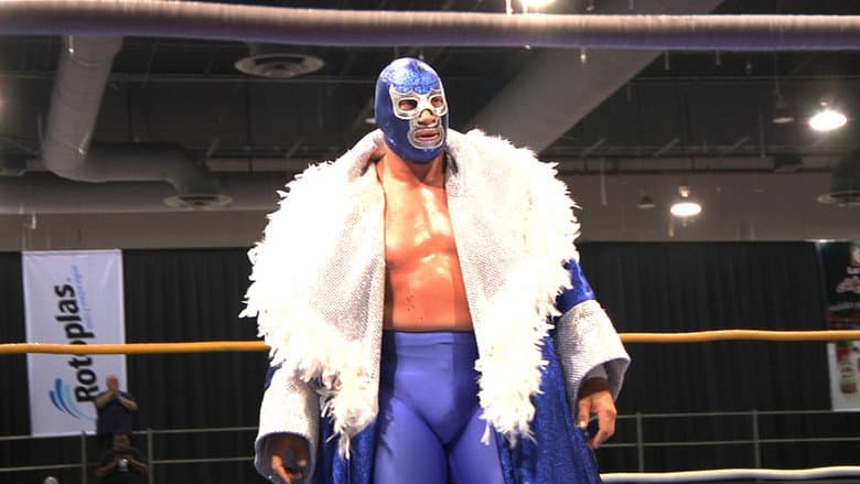Backdrop from Lucha Mexico