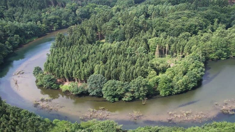 Backdrop from Germany's Wild Amazon