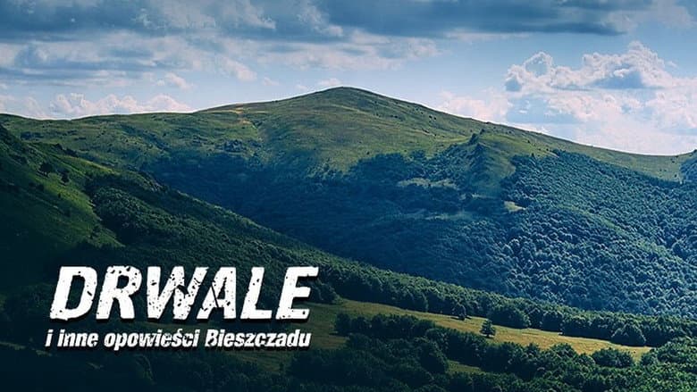 Backdrop from Drwale i inne opowieści Bieszczadu