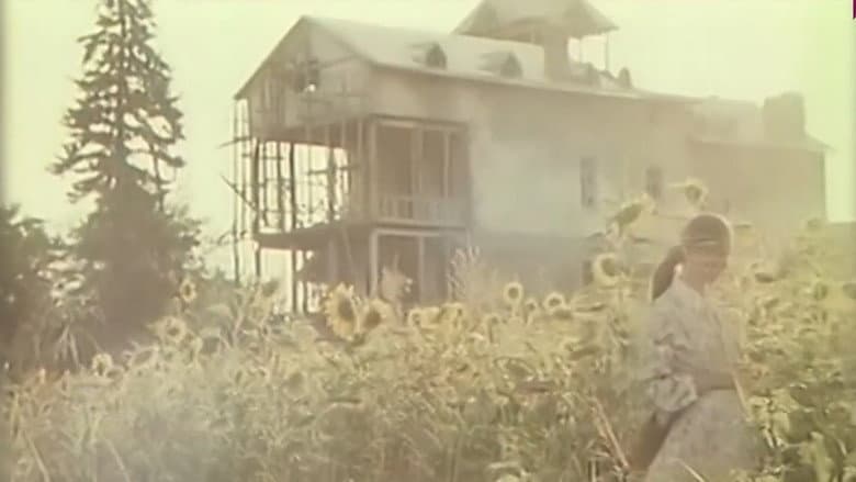 Backdrop from ნუცას სკოლა