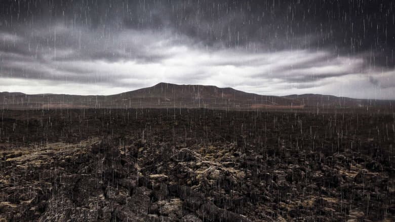 Backdrop from Mass Extinction: Life at the Brink