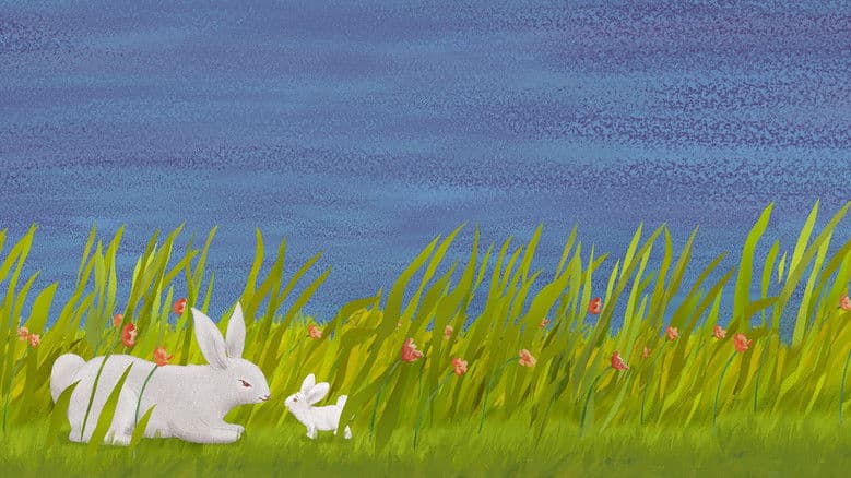 Backdrop from The Runaway Bunny