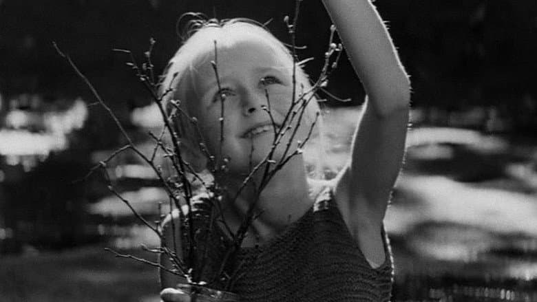 Кадр із фільму «Красуня (фільм, 1969)»