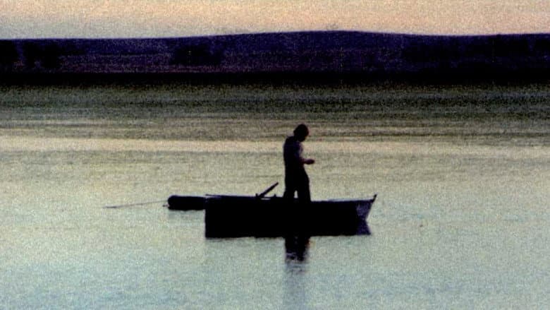 Backdrop from The Rocha Wetlands: The Secret of the Waters