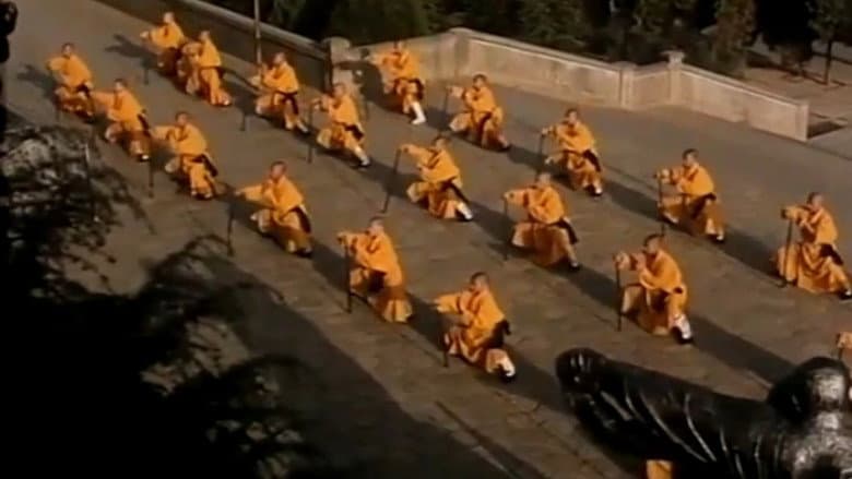 Backdrop from Li Lian Jie's Shaolin Kung Fu