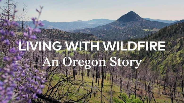 Backdrop from Living with Wildfire