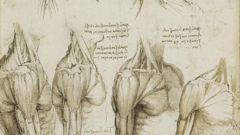 Backdrop from Leonardo's Diary
