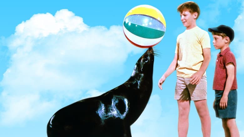 Backdrop from Sammy, the Way-Out Seal