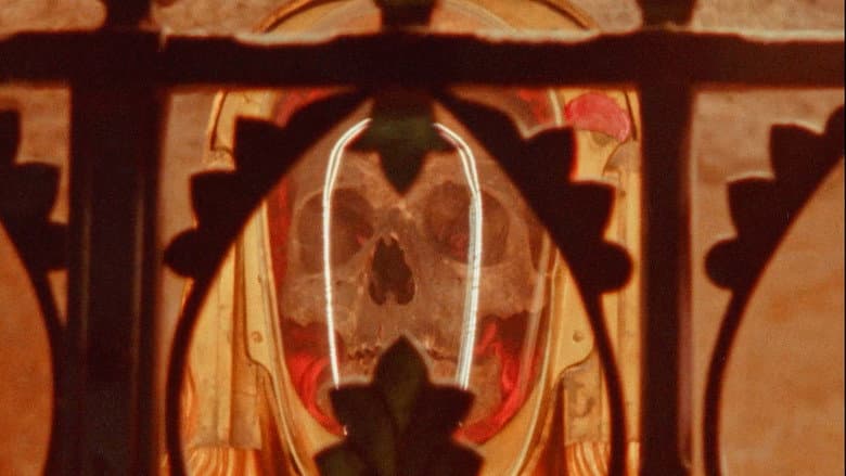 Backdrop from Resurrect Me as a Parasite