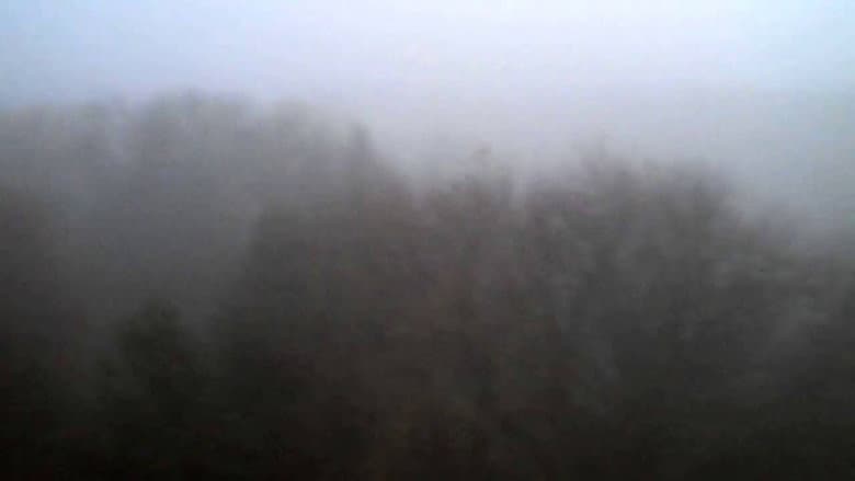 Backdrop from The Land Above The Trees
