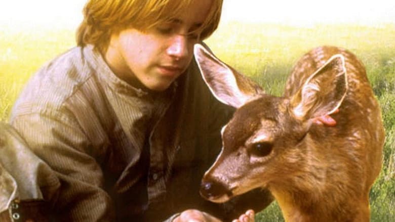 Backdrop from The Yearling