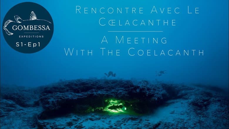 Backdrop from The Coelacanth, a dive into our origins