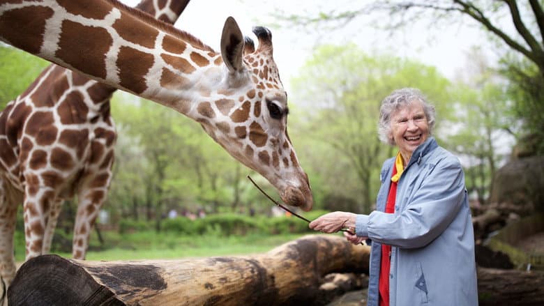 Backdrop from The Woman Who Loves Giraffes