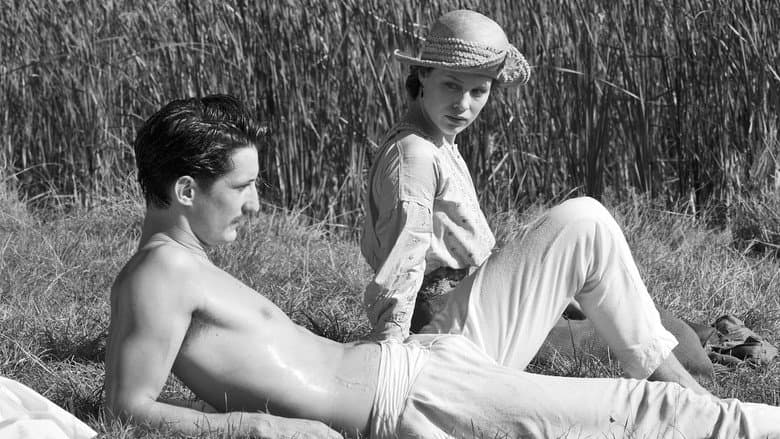 Backdrop from Frantz