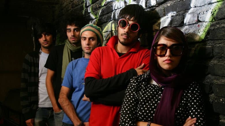 Backdrop from No One Knows About Persian Cats