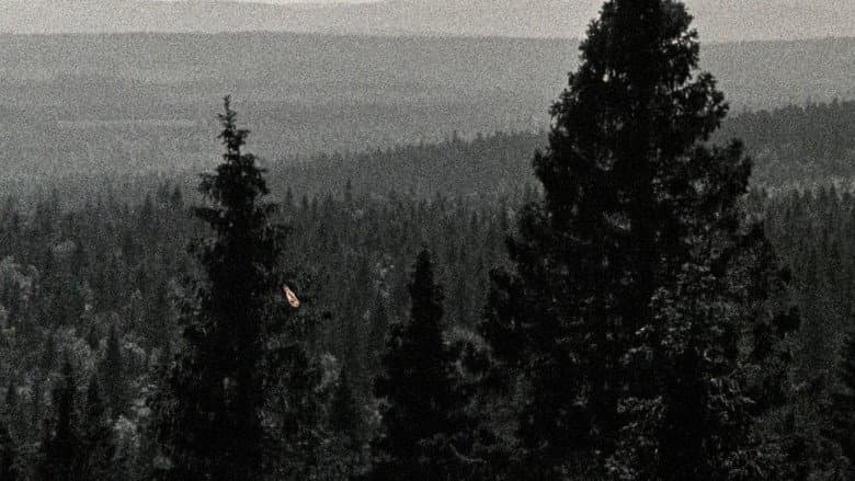 Backdrop from The Fleeting Horizon