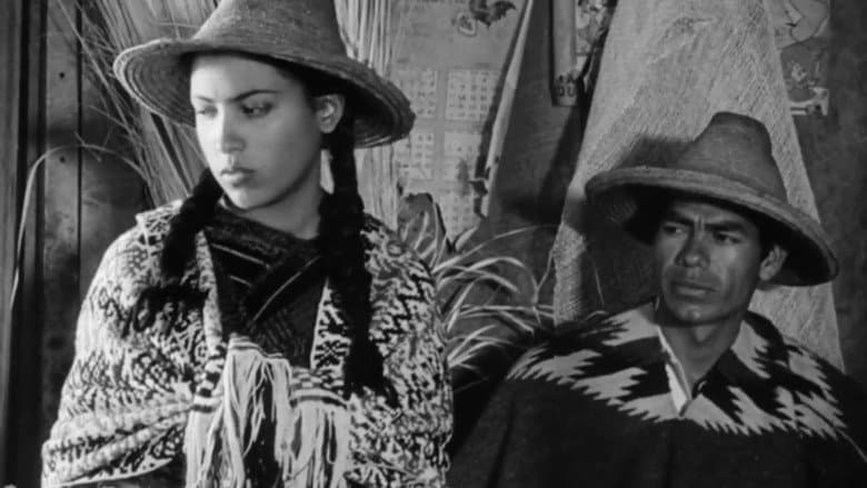Backdrop from Roots