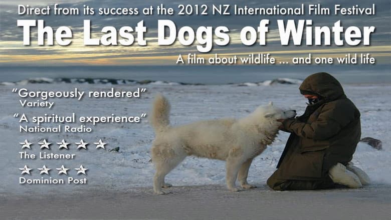Кадр із фільму «The Last Dogs of Winter»