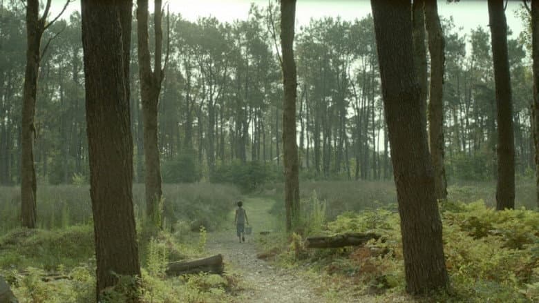 Backdrop from L'invité