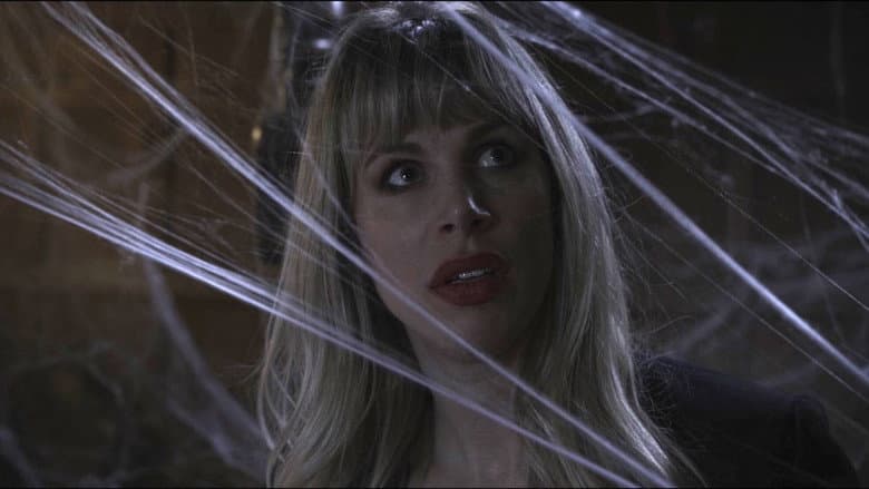 Backdrop from Spider in the Attic