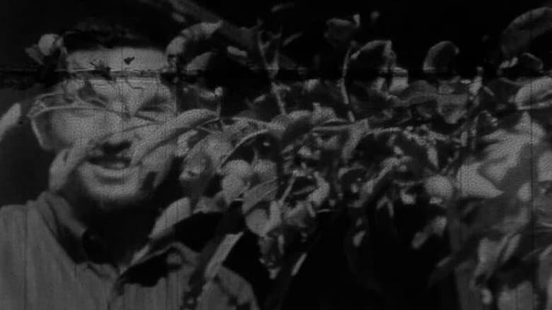 Backdrop from Wintercourse