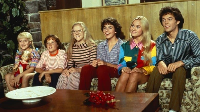 Backdrop from The Brady Bunch Movie