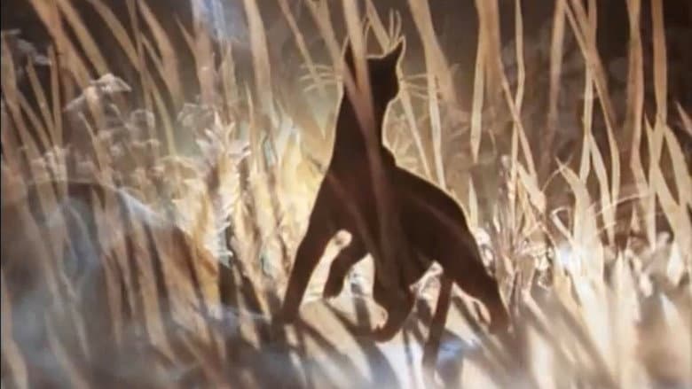 Backdrop from The Cat Who Walked by Herself