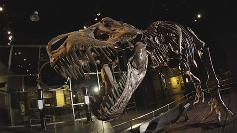 Backdrop from Dinosaur Extinction: Behind the Asteroid Impact Theory