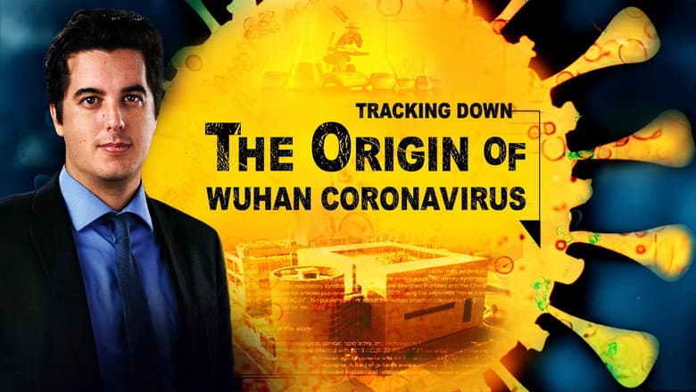 Backdrop from Tracking Down the Origin of the Wuhan Coronavirus