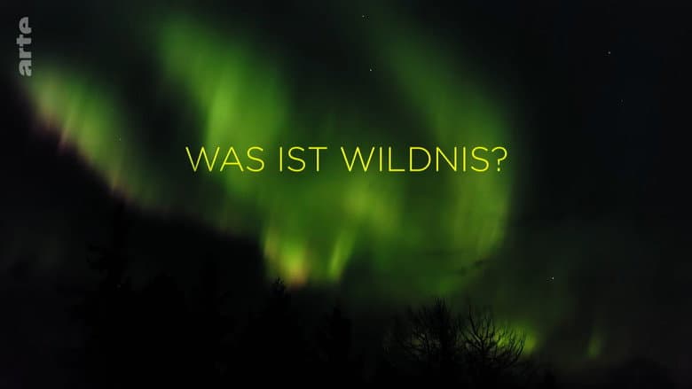 Backdrop from What is Wilderness