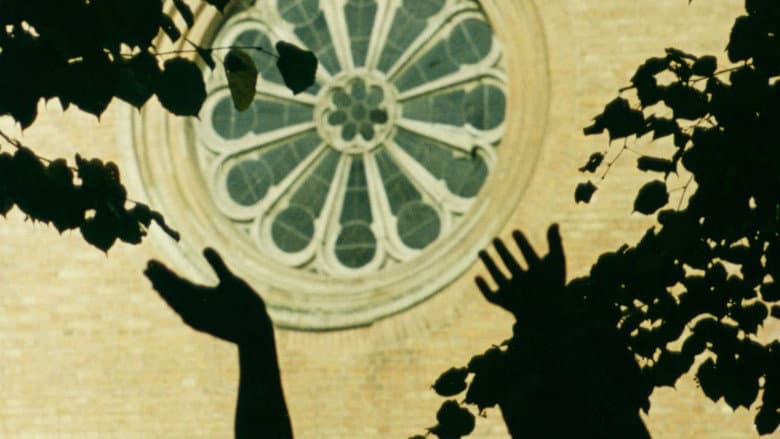 Backdrop from The Sparrow Dream